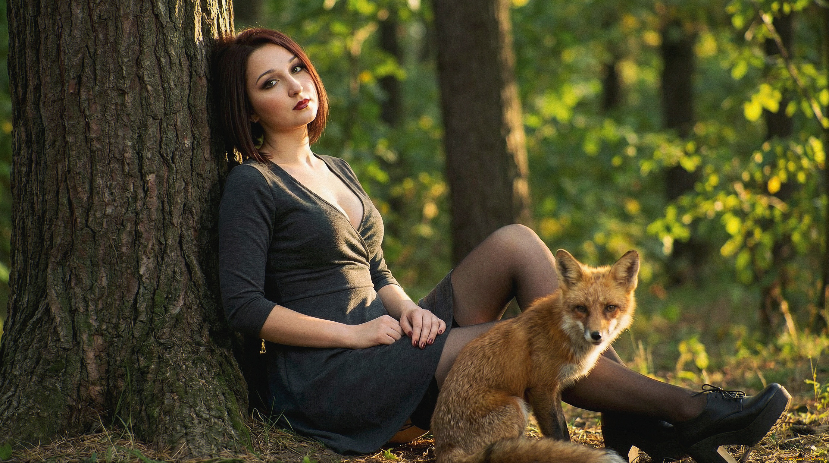 �������� �������, �������, - ����������� � ������������, �������, �������, �����, �������, �����, �����������, ������, ������, ��������, ������, �����, �������, ��������, ������, ������, �����������, �����, �����, ������, ��������, �����, ����������, ������, �, ���������, ���������, ��, ����������